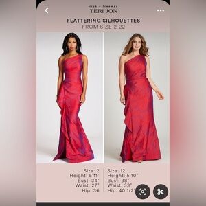Teri Jon one shoulder gown
